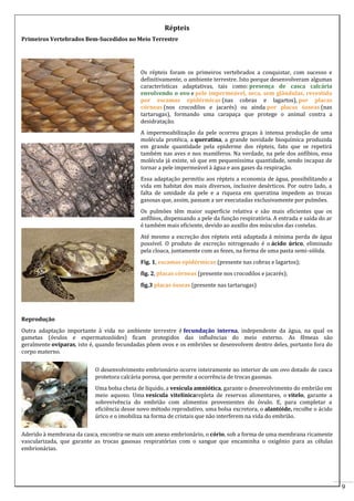 Répteis
Primeiros Vertebrados Bem-Sucedidos no Meio Terrestre

Os répteis foram os primeiros vertebrados a conquistar, com sucesso e
definitivamente, o ambiente terrestre. Isto porque desenvolveram algumas
características adaptativas, tais como: presença de casca calcária
envolvendo o ovo e pele impermeável, seca, sem glândulas, revestida
por escamas epidérmicas (nas cobras e lagartos), por placas
córneas (nos crocodilos e jacarés) ou ainda por placas ósseas (nas
tartarugas), formando uma carapaça que protege o animal contra a
desidratação.
A impermeabilização da pele ocorreu graças à intensa produção de uma
molécula protéica, a queratina, a grande novidade bioquímica produzida
em grande quantidade pela epiderme dos répteis, fato que se repetirá
também nas aves e nos mamíferos. Na verdade, na pele dos anfíbios, essa
molécula já existe, só que em pequeníssima quantidade, sendo incapaz de
tornar a pele impermeável à água e aos gases da respiração.
Essa adaptação permitiu aos répteis a economia de água, possibilitando a
vida em habitat dos mais diversos, inclusive desérticos. Por outro lado, a
falta de umidade da pele e a riqueza em queratina impedem as trocas
gasosas que, assim, passam a ser executadas exclusivamente por pulmões.
Os pulmões têm maior superfície relativa e são mais eficientes que os
anfíbios, dispensando a pele da função respiratória. A entrada e saída do ar
é também mais eficiente, devido ao auxílio dos músculos das costelas.
Até mesmo a excreção dos répteis está adaptada á mínima perda de água
possível. O produto de excreção nitrogenado é o ácido úrico, eliminado
pela cloaca, juntamente com as fezes, na forma de uma pasta semi-sólida.
Fig. 1, escamas epidérmicas (presente nas cobras e lagartos);
fig. 2, placas córneas (presente nos crocodilos e jacarés);
fig.3 placas ósseas (presente nas tartarugas)

Reprodução
Outra adaptação importante à vida no ambiente terrestre é fecundação interna, independente da água, na qual os
gametas (óvulos e espermatozóides) ficam protegidos das influências do meio externo. As fêmeas são
geralmente ovíparas, isto é, quando fecundadas põem ovos e os embriões se desenvolvem dentro deles, portanto fora do
corpo materno.
O desenvolvimento embrionário ocorre inteiramente no interior de um ovo dotado de casca
protetora calcária porosa, que permite a ocorrência de trocas gasosas.
Uma bolsa cheia de líquido, a vesícula amniótica, garante o desenvolvimento do embrião em
meio aquoso. Uma vesícula vitelínicarepleta de reservas alimentares, o vitelo, garante a
sobrevivência do embrião com alimentos provenientes do óvulo. E, para completar a
eficiência desse novo método reprodutivo, uma bolsa excretora, o alantóide, recolhe o ácido
úrico e o imobiliza na forma de cristais que não interferem na vida do embrião.
Aderido à membrana da casca, encontra-se mais um anexo embrionário, o cório, sob a forma de uma membrana ricamente
vascularizada, que garante as trocas gasosas respiratórias com o sangue que encaminha o oxigênio para as células
embrionárias.

9

 