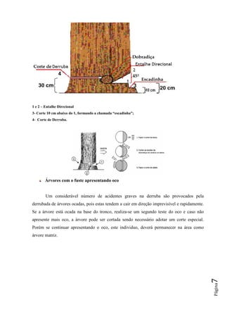 Apostila corte das_arvores | PDF