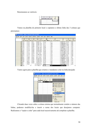 50
Renomeamos as variáveis:
Vamos na planilha do primeiro local e copiamos a última linha das 3 colunas que
precisamos:
Vamos agora para a planilha que criamos e mandamos colar na linha desejada:
Clicando duas vezes sobre a coluna externa que normalmente contém o número das
linhas, podemos modificá-las e inserir o nome dos locais que desejamos comparar.
Realizamos o “copiar e colar” para cada local sucessivamente até completar a planilha.
 