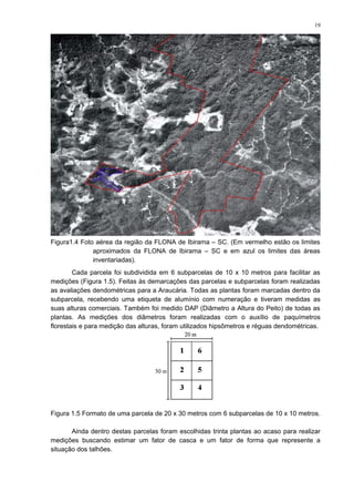 Figura1.4 Foto aérea da região da FLONA de Ibirama – SC. (Em vermelho estão os limites
aproximados da FLONA de Ibirama – SC e em azul os limites das áreas
inventariadas).
Cada parcela foi subdividida em 6 subparcelas de 10 x 10 metros para facilitar as
medições (Figura 1.5). Feitas às demarcações das parcelas e subparcelas foram realizadas
as avaliações dendométricas para a Araucária. Todas as plantas foram marcadas dentro da
subparcela, recebendo uma etiqueta de alumínio com numeração e tiveram medidas as
suas alturas comerciais. Também foi medido DAP (Diâmetro a Altura do Peito) de todas as
plantas. As medições dos diâmetros foram realizadas com o auxílio de paquímetros
florestais e para medição das alturas, foram utilizados hipsômetros e réguas dendométricas.
Figura 1.5 Formato de uma parcela de 20 x 30 metros com 6 subparcelas de 10 x 10 metros.
Ainda dentro destas parcelas foram escolhidas trinta plantas ao acaso para realizar
medições buscando estimar um fator de casca e um fator de forma que represente a
situação dos talhões.
19
 