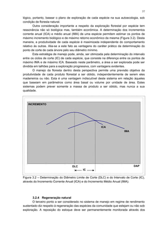 lógico, portanto, basear o plano de exploração de cada espécie na sua autoecologia, sob
condição de floresta natural.
Outra consideração importante a respeito da exploração florestal por espécie tem
ressonância não só biológica mas, também econômica. A determinação dos incrementos
corrente anual (ICA) e médio anual (IMA) de uma espécie permitem estimar os pontos de
máximo incremento biológico e de máximo retorno econômico da mesma (Figura 3.2). Desta
maneira, a produtividade de cada espécie é maximizada independente do comportamento
relativo às outras. Alia-se a este fato as vantagens do caráter prático da determinação do
ponto de corte de cada árvore pelo seu diâmetro mínimo.
Esta estratégia de manejo pode, ainda, ser otimizada pela determinação do intervalo
entre os ciclos de corte (IC) de cada espécie, que consiste na diferença entre os pontos de
máximo IMA e de máximo ICA. Baseado neste parâmetro, a área a ser explorada pode ser
dividida em talhões para a exploração progressiva, com vantagens evidentes.
O manejo da floresta dentro desta perspectiva permite uma previsão objetiva da
produtividade de cada produto florestal a ser obtido, independentemente de serem eles
madeireiros ou não. Esta é uma vantagem indiscutível deste sistema em relação àqueles
que baseiam em parâmetros como área basal ou volume por unidade de área. Estes
sistemas podem prever somente a massa de produto a ser obtido, mas nunca a sua
qualidade.
Figura 3.2 – Determinação do Diâmetro Limite de Corte (DLC) e do Intervalo de Corte (IC),
através do Incremento Corrente Anual (ICA) e do Incremento Médio Anual (IMA).
3.2.4 Regeneração natural
O terceiro ponto a ser considerado no sistema de manejo em regime de rendimento
sustentado diz respeito à regeneração das espécies da comunidade que estejam ou não sob
exploração. A reposição do estoque deve ser permanentemente monitorada através dos
IC
DLC DAP
IMA
ICA
INCREMENTO
57
 