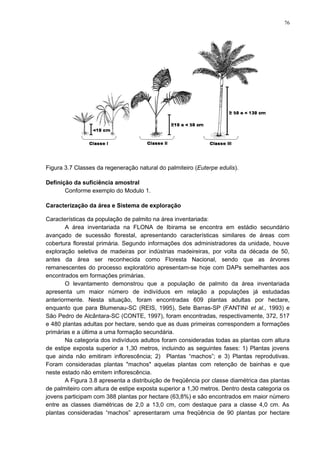 Figura 3.7 Classes da regeneração natural do palmiteiro (Euterpe edulis).
Definição da suficiência amostral
Conforme exemplo do Modulo 1.
Caracterização da área e Sistema de exploração
Características da população de palmito na área inventariada:
A área inventariada na FLONA de Ibirama se encontra em estádio secundário
avançado de sucessão florestal, apresentando características similares de áreas com
cobertura florestal primária. Segundo informações dos administradores da unidade, houve
exploração seletiva de madeiras por indústrias madeireiras, por volta da década de 50,
antes da área ser reconhecida como Floresta Nacional, sendo que as árvores
remanescentes do processo exploratório apresentam-se hoje com DAPs semelhantes aos
encontrados em formações primárias.
O levantamento demonstrou que a população de palmito da área inventariada
apresenta um maior número de indivíduos em relação a populações já estudadas
anteriormente. Nesta situação, foram encontradas 609 plantas adultas por hectare,
enquanto que para Blumenau-SC (REIS, 1995), Sete Barras-SP (FANTINI et al., 1993) e
São Pedro de Alcântara-SC (CONTE, 1997), foram encontradas, respectivamente, 372, 517
e 480 plantas adultas por hectare, sendo que as duas primeiras correspondem a formações
primárias e a última a uma formação secundária.
Na categoria dos indivíduos adultos foram consideradas todas as plantas com altura
de estipe exposta superior a 1,30 metros, incluindo as seguintes fases: 1) Plantas jovens
que ainda não emitiram inflorescência; 2) Plantas “machos”; e 3) Plantas reprodutivas.
Foram consideradas plantas "machos" aquelas plantas com retenção de bainhas e que
neste estado não emitem inflorescência.
A Figura 3.8 apresenta a distribuição de freqüência por classe diamétrica das plantas
de palmiteiro com altura de estipe exposta superior a 1,30 metros. Dentro desta categoria os
jovens participam com 388 plantas por hectare (63,8%) e são encontrados em maior número
entre as classes diamétricas de 2,0 a 13,0 cm, com destaque para a classe 4,0 cm. As
plantas consideradas “machos” apresentaram uma freqüência de 90 plantas por hectare
76
 