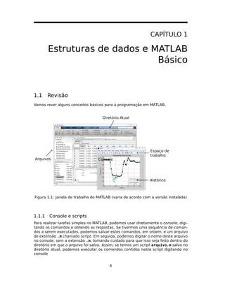 CAPÍTULO 1
Estruturas de dados e MATLAB
Básico
1.1 Revisão
Vamos rever alguns conceitos básicos para a programação em MATLAB.
Console
Espaço de
trabalho
Arquivos
Histórico
Diretório Atual
Figura 1.1: Janela de trabalho do MATLAB (varia de acordo com a versão instalada)
1.1.1 Console e scripts
Para realizar tarefas simples no MATLAB, podemos usar diretamente o console, digi-
tando os comandos e obtendo as respostas. Se tivermos uma sequência de coman-
dos a serem executados, podemos salvar estes comandos, em ordem, e um arquivo
de extensão .m chamado script. Em seguida, podemos digitar o nome deste arquivo
no console, sem a extensão .m, tomando cuidado para que isso seja feito dentro do
diretório em que o arquivo foi salvo. Assim, se temos um script arquivo.m salvo no
diretório atual, podemos executar os comandos contidos neste script digitando no
console
4
 