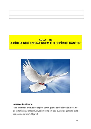 49
INSPIRAÇÃO BÍBLICA
“Mas recebereis a virtude do Espírito Santo, que há de vir sobre vós; e ser-me-
eis testemunhas, tanto em Jerusalém como em toda a Judéia e Samaria, e até
aos confins da terra”. Atos 1:8
AULA – 06
A BÍBLIA NOS ENSINA QUEM É O ESPÍRITO SANTO?
 