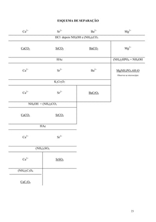 ESQUEMA DE SEPARAÇÃO


   Ca2+                   Sr2+                  Ba2+             Mg2+
                         HCl depois NH4OH e (NH4)2CO3


  CaCO3                  SrCO3                 BaCO3             Mg2+


                          HAc                           (NH4)2HPO4 + NH4OH


   Ca2+                   Sr2+                  Ba2+      MgNH4PO4.6H2O
                                                          Observar ao microscópio


                         K2Cr2O7


   Ca2+                   Sr2+                BaCrO4


      NH4OH + (NH4)2CO3


  CaCO3                  SrCO3


               HAc


   Ca2+                   Sr2+


             (NH4)2SO4


   Ca2+                  SrSO4


(NH4)2C2O4


 CaC2O4




                                                                         23
 