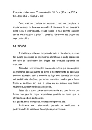 Exemplo: um bem com 35 anos de vida útil: Sn = (35 + 1) x 35/2
Sn = 36 x 35/2 = 18x35/2 = 630
Outro método consiste em esperar o ano se completar e
avaliar o preço do bem no mercado. A diferença de um ano para
outro será a depreciação. Pouco usado e não permite calcular
custos de produção ”a priori`” , portanto não serve aos propósitos
aqui pretendidos.
5.5 RISCOS:
A atividade rural é um empreendimento a céu aberto, e como
tal, sujeita aos riscos de intempéries climáticas e ainda oscilações
em face de volatilidade dos preços dos produtos agrícolas no
mercado.
Além das recomendações acerca de cultivo que contemplem
as melhores épocas quanto ao clima e monitoramento de possíveis
eventos adversos, com o objetivo de fugir dos períodos de maior
vulnerabilidade climática; podem-se constituir fundos para fazer
frente a períodos em que o clima ou os preços não foram
favoráveis, apesar de todas as cautelas.
Estes são a soma que se considera cada ano para formar um
fundo que permita pagar imprevistos parciais ou totais que a
atividade ou o bem pode sofrer.
Ex. geada, seca, inundação, frustração de preços, etc.
Analisa-se um determinado período e verifica-se a
periodicidade de sinistros e frustrações que ocorreram.
 