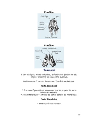 Etmóide




                        Etmóide




É um osso par, muito complexo, é importante porque no seu
         interior encontra-se o aparelho auditivo.

  Divide-se em 3 partes: Escamosa, Timpânica e Petrosa.

                     Parte Escamosa

 * Processo Zigomático - longo arco que se projeta da parte
                    inferior da escama.
* Fossa Mandibular - articula-se com o côndilo da mandíbula.

                     Parte Timpânica

                 * Meato Acústico Externo




                                                               10
 