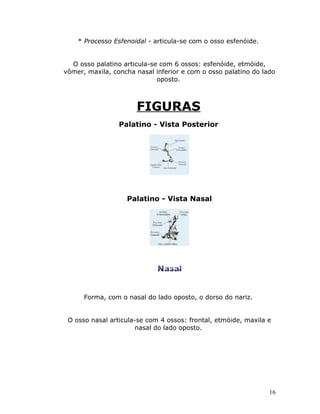 * Processo Esfenoidal - articula-se com o osso esfenóide.


  O osso palatino articula-se com 6 ossos: esfenóide, etmóide,
vômer, maxila, concha nasal inferior e com o osso palatino do lado
                             oposto.



                      FIGURAS
                 Palatino - Vista Posterior




                   Palatino - Vista Nasal




      Forma, com o nasal do lado oposto, o dorso do nariz.


 O osso nasal articula-se com 4 ossos: frontal, etmóide, maxila e
                       nasal do lado oposto.




                                                                16
 