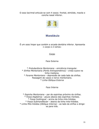 O osso lacrimal articula-se com 4 ossos: frontal, etmóide, maxila e
                       concha nasal inferior.




É um osso ímpar que contém a arcada dentária inferior. Apresenta
                      1 corpo e 2 ramos:


                               Corpo


                           Face Externa


       * Protuberância Mentoniana - eminência triangular.
  * Sínfise Mentoniana (Ponto Antropométrico) - crista suave na
                         linha mediana.
    * Forame Mentoniano - depressão de cada lado da sínfise.
             Passagem de vasos e nervo mentoniano.
                    * Linha Oblíqua Externa


                           Face Interna


   * Espinha Mentoniana - par de espinhas próximo da sínfise.
     * Fossa Digástrica - pouco abaixo das espinhas mentais.
         * Fossa Sublingual - acima da linha milo-hióidea.
      * Fossa Submandibular - abaixo da linha milo-hióidea.
* Linha Milo-hióidea (Oblíqua Interna) - ao lado da sínfise e dirige-
                           se para trás.




                                                                   18
 