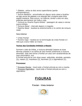 * Glabela - entre os dois arcos superciliares (ponto
antropométrico).
* Sutura Metópica - encontrada em alguns raros casos e localiza-
se logo acima da glabela e se estende até o bregma pela linha
sagital mediana. Esta sutura, na infância, divide o osso em dois,
podendo permanecer por toda a vida.
* Incisura ou Forame Supra-Orbital - passagem de vasos e nervos
supra-orbitais.
* Incisura Nasal - intervalo áspero e irregular.
* Espinha Nasal - localiza-se anteriormente e no centro da incisura
nasal.

Face Interna:

* Crista Frontal
* Forame Cego - localiza-se na terminação da crista frontal e é
nele que a dura máter se insere.

Tectos das Cavidades Orbitais e Nasais

Formam o teto da órbita, a incisura etmoidal (separa as duas
lâminas orbitais) e os óstios do seio frontal (anteriores a incisura
etmoidal). Este seio torna o frontal um osso com características de
osso pneumático, oco.
O frontal articula-se com doze ossos: esfenóide, etmóide, parietais
(2), nasais (2), maxilares (2), lacrimais (2) e zigomáticos (2).

Processos:

* Processo Maxilar - local onde o frontal articula-se com a maxila.
* Processo Zigomático - local onde o frontal articula-se com o
zigomático.



                       FIGURAS
                    Frontal - Vista Anterior




                                                                      4
 