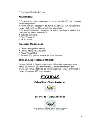 * Processo Clinóide Anterior

Asas Maiores

* Forame Redondo - passagem do nervo maxilar (5º par craniano
- nervo trigêmeo).
* Forame Oval - passagem do nervo mandibular (5º par craniano -
nervo trigêmeo) e artéria meníngea acessória.
* Forame Espinhoso - passagem de vasos meníngeos médios e a
um ramo do nervo mandibular.
* Espinha Esfenoidal
* Face Temporal
* Face Orbital

Processos Pterigóideos

*   Lâmina Pterigódea Medial
*   Lâmina Pterigóidea Lateral
*   Fossa Pterigóidea
*   Incisura Pterigóidea - entre as duas laminas.

Entre as Asas Menores e Maiores:

Fissura Orbitária Superior ou Fenda Esfenoidal - passagem do
nervo oculomotor (3º par craniano), nervo troclear (4º par
craniano), romo oftálmico do nervo trigêmeo (5º par craniano) e
nervo abducente (6º par craniano).


                           FIGURAS
                  Esfenóide - Vista Posterior




                   Esfenóide - Vista Anterior




                 Fonte: SOBOTTA, Johannes. Atlas de Anatomia Humana.
                    21ed. Rio de Janeiro: Guanabara Koogan, 2000.




                                                                       8
 