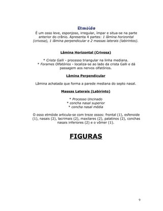 É um osso leve, esponjoso, irregular, ímpar e situa-se na parte
    anterior do crânio. Apresenta 4 partes: 1 lâmina horizontal
(crivosa), 1 lâmina perpendicular e 2 massas laterais (labirintos).


                 Lâmina Horizontal (Crivosa)

      * Crista Galli - processo triangular na linha mediana.
   * Forames Olfatórios - localiza-se ao lado da crista Galli e dá
                passagem aos nervos olfatórios.

                     Lâmina Perpendicular

 Lâmina achatada que forma a parede mediana do septo nasal.

                  Massas Laterais (Labirinto)

                      * Processo Uncinado
                     * concha nasal superior
                      * concha nasal média

O osso etmóide articula-se com treze ossos: frontal (1), esfenoide
(1), nasais (2), lacrimais (2), maxilares (2), palatinos (2), conchas
                nasais inferiores (2) e o vômer (1).



                       FIGURAS




                                                                      9
 