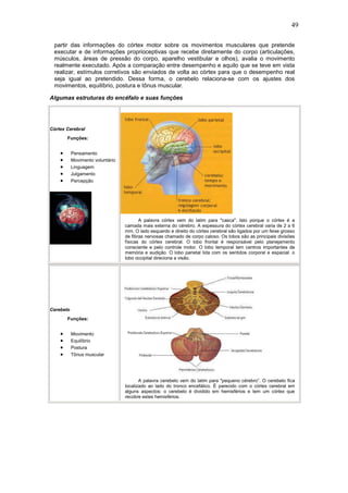 49

 partir das informações do córtex motor sobre os movimentos musculares que pretende
 executar e de informações proprioceptivas que recebe diretamente do corpo (articulações,
 músculos, áreas de pressão do corpo, aparelho vestibular e olhos), avalia o movimento
 realmente executado. Após a comparação entre desempenho e aquilo que se teve em vista
 realizar, estímulos corretivos são enviados de volta ao córtex para que o desempenho real
 seja igual ao pretendido. Dessa forma, o cerebelo relaciona-se com os ajustes dos
 movimentos, equilíbrio, postura e tônus muscular.

Algumas estruturas do encéfalo e suas funções




Córtex Cerebral
        Funções:


    •      Pensamento
    •      Movimento voluntário
    •      Linguagem
    •      Julgamento
    •      Percepção




                                         A palavra córtex vem do latim para "casca". Isto porque o córtex é a
                                  camada mais externa do cérebro. A espessura do córtex cerebral varia de 2 a 6
                                  mm. O lado esquerdo e direito do córtex cerebral são ligados por um feixe grosso
                                  de fibras nervosas chamado de corpo caloso. Os lobos são as principais divisões
                                  físicas do córtex cerebral. O lobo frontal é responsável pelo planejamento
                                  consciente e pelo controle motor. O lobo temporal tem centros importantes de
                                  memória e audição. O lobo parietal lida com os sentidos corporal e espacial. o
                                  lobo occipital direciona a visão.




Cerebelo
        Funções:


    •      Movimento
    •      Equilíbrio
    •      Postura
    •      Tônus muscular




                                         A palavra cerebelo vem do latim para "pequeno cérebro”. O cerebelo fica
                                  localizado ao lado do tronco encefálico. É parecido com o córtex cerebral em
                                  alguns aspectos: o cerebelo é dividido em hemisférios e tem um córtex que
                                  recobre estes hemisférios.
 
