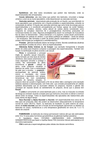 84

      Epidídimos: são dois tubos enovelados que partem dos testículos, onde os
espermatozóides são armazenados.
      Canais deferentes: são dois tubos que partem dos testículos, circundam a bexiga
urinária e unem-se ao ducto ejaculatório, onde desembocam as vesículas seminais.
      Vesículas seminais: responsáveis pela produção de um líquido, que será liberado no
ducto ejaculatório que, juntamente com o líquido prostático e espermatozóides, entrarão na
composição do sêmen. O líquido das vesículas seminais age como fonte de energia para os
espermatozóides e é constituído principalmente por frutose, apesar de conter fosfatos,
nitrogênio não protéico, cloretos, colina (álcool de cadeia aberta considerado como
integrante do complexo vitamínico B) e prostaglandinas (hormônios produzidos em
numerosos tecidos do corpo. Algumas prostaglandinas atuam na contração da musculatura
lisa do útero na dismenorréia – cólica menstrual, e no orgasmo; outras atuam promovendo
vasodilatação em artérias do cérebro, o que talvez justifique as cefaléias – dores de cabeça
– da enxaqueca. São formados a partir de ácidos graxos insaturados e podem ter a sua
síntese interrompida por analgésicos e antiinflamatórios).
      Próstata: glândula localizada abaixo da bexiga urinária. Secreta substâncias alcalinas
que neutralizam a acidez da urina e ativa os espermatozóides.
      Glândulas Bulbo Uretrais ou de Cowper: sua secreção transparente é lançada
dentro da uretra para limpá-la e preparar a passagem dos espermatozóides. Também tem
função na lubrificação do pênis durante o ato sexual.
      Pênis: é considerado o principal
órgão do aparelho sexual masculino,
sendo formado por dois tipos de tecidos
cilíndricos: dois corpos cavernosos e um
corpo esponjoso (envolve e protege a
uretra). Na extremidade do pênis
encontra-se a glande - cabeça do
pênis, onde podemos visualizar a
abertura da uretra. Com a manipulação
da pele que a envolve - o prepúcio -
acompanhado de estímulo erótico,
ocorre a inundação dos corpos
cavernosos e esponjoso, com sangue,
tornando-se rijo, com considerável
aumento do tamanho (ereção). O
prepúcio deve ser puxado e higienizado a fim de se retirar dele o esmegma (uma secreção
sebácea espessa e esbranquiçada, com forte odor, que consiste principalmente em células
epiteliais descamadas que se acumulam debaixo do prepúcio). Quando a glande não
consegue ser exposta devido ao estreitamento do prepúcio, diz-se que a pessoa tem
fimose.
      A uretra é comumente um canal destinado para a urina, mas os músculos na entrada
da bexiga se contraem durante a ereção para que nenhuma urina entre no sêmen e nenhum
sêmen entre na bexiga. Todos os espermatozóides não ejaculados são reabsorvidos pelo
corpo dentro de algum tempo.
      Saco Escrotal ou Bolsa Escrotal ou Escroto: Um espermatozóide leva cerca de 70
dias para ser produzido. Eles não podem se desenvolver adequadamente na temperatura
normal do corpo (36,5°C). Assim, os testículos se localizam na parte externa do corpo,
dentro da bolsa escrotal, que tem a função de termorregulação (aproximam ou afastam os
testículos do corpo), mantendo-os a uma temperatura geralmente em torno de 1 a 3 °C
abaixo da corporal.

     PUBERDADE: os testículos da criança permanecem inativos até que são estimulados
entre 10 e 14 anos pelos hormônios gonadotróficos da glândula hipófise (pituitária)
     O     hipotálamo    libera  FATORES        LIBERADORES         DOS       HORMÔNIOS
GONADOTRÓFICOS que fazem a hipófise liberar FSH (hormônio folículo estimulante) e LH
(hormônio luteinizante).
     FSH à estimula a espermatogênese pelas células dos túbulos seminíferos.
 