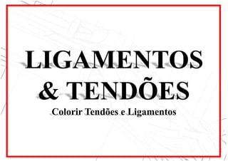 LIGAMENTOS
& TENDÕES
Colorir Tendões e Ligamentos
 