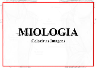 MIOLOGIA
Colorir as Imagens
 