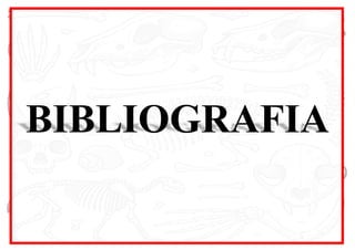 BIBLIOGRAFIA
 
