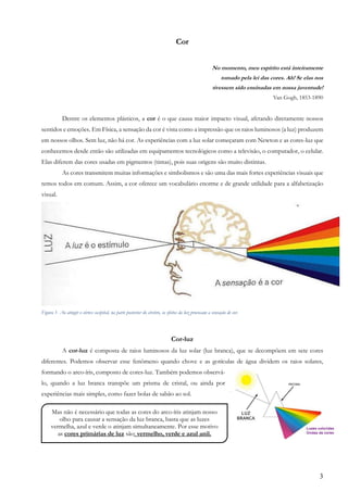 3
Cor
No momento, meu espírito está inteiramente
tomado pela lei das cores. Ah! Se elas nos
tivessem sido ensinadas em nossa juventude!
Van Gogh, 1853-1890
Dentre os elementos plásticos, a cor é o que causa maior impacto visual, afetando diretamente nossos
sentidos e emoções. Em Física, a sensação da cor é vista como a impressão que os raios luminosos (a luz) produzem
em nossos olhos. Sem luz, não há cor. As experiências com a luz solar começaram com Newton e as cores-luz que
conhecemos desde então são utilizadas em equipamentos tecnológicos como a televisão, o computador, o celular.
Elas diferem das cores usadas em pigmentos (tintas), pois suas origens são muito distintas.
As cores transmitem muitas informações e simbolismos e são uma das mais fortes experiências visuais que
temos todos em comum. Assim, a cor oferece um vocabulário enorme e de grande utilidade para a alfabetização
visual.
Figura 1- Ao atingir o córtex occipital, na parte posterior do cérebro, os efeitos da luz provocam a sensação de cor.
Cor-luz
A cor-luz é composta de raios luminosos da luz solar (luz branca), que se decompõem em sete cores
diferentes. Podemos observar esse fenômeno quando chove e as gotículas de água dividem os raios solares,
formando o arco-íris, composto de cores-luz. Também podemos observá-
lo, quando a luz branca transpõe um prisma de cristal, ou ainda por
experiências mais simples, como fazer bolas de sabão ao sol.
Mas não é necessário que todas as cores do arco-íris atinjam nosso
olho para causar a sensação da luz branca, basta que as luzes
vermelha, azul e verde o atinjam simultaneamente. Por esse motivo
as cores primárias de luz são: vermelho, verde e azul anil.
 