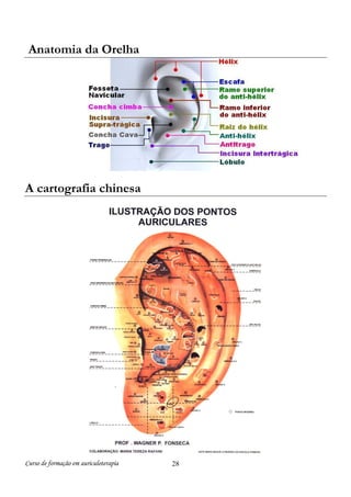 Anatomia da Orelha

A cartografia chinesa

Curso de formação em auriculoterapia

28

 