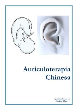 Auriculoterapia
Chinesa
Apostila elaborada por:

Evaldo Mazer

 