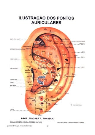 Curso de formação em auriculoterapia 43
 