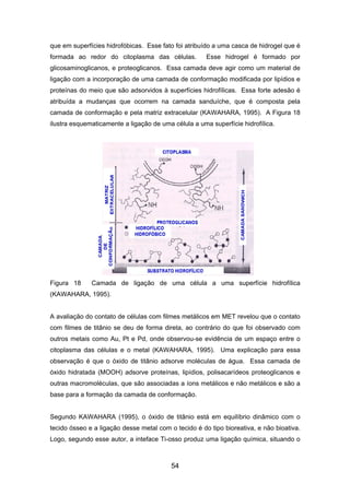 que em superfícies hidrofóbicas. Esse fato foi atribuído a uma casca de hidrogel que é
formada ao redor do citoplasma das células. Esse hidrogel é formado por
glicosaminoglicanos, e proteoglicanos. Essa camada deve agir como um material de
ligação com a incorporação de uma camada de conformação modificada por lipídios e
proteínas do meio que são adsorvidos à superfícies hidrofílicas. Essa forte adesão é
atribuída a mudanças que ocorrem na camada sanduíche, que é composta pela
camada de conformação e pela matriz extracelular (KAWAHARA, 1995). A Figura 18
ilustra esquematicamente a ligação de uma célula a uma superfície hidrofílica.
Figura 18 Camada de ligação de uma célula a uma superfície hidrofílica
(KAWAHARA, 1995).
A avaliação do contato de células com filmes metálicos em MET revelou que o contato
com filmes de titânio se deu de forma direta, ao contrário do que foi observado com
outros metais como Au, Pt e Pd, onde observou-se evidência de um espaço entre o
citoplasma das células e o metal (KAWAHARA, 1995). Uma explicação para essa
observação é que o óxido de titânio adsorve moléculas de água. Essa camada de
óxido hidratada (MOOH) adsorve proteínas, lipídios, polisacarídeos proteoglicanos e
outras macromoléculas, que são associadas a íons metálicos e não metálicos e são a
base para a formação da camada de conformação.
Segundo KAWAHARA (1995), o óxido de titânio está em equilíbrio dinâmico com o
tecido ósseo e a ligação desse metal com o tecido é do tipo bioreativa, e não bioativa.
Logo, segundo esse autor, a inteface Ti-osso produz uma ligação química, situando o
54
 