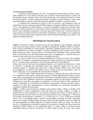A cana-de-açucar no Brasil
        As primeiras mudas chegaram em 1532, na expedição de Martim Afonso de Souza. Aqui, a
planta espalhou-se no solo fértil de massapê, com a ajuda do clima tropical quente e úmido e da
mão-de-obra escrava trazida da África. Era o início do primeiro ciclo econômico brasileiro, o 'Ciclo
da Cana-de-Açúcar'. A colônia enriqueceu Portugal e polvilhou o açúcar brasileiro - assim como
aquele produzido na América Central, por franceses, espanhóis e ingleses - em toda a Europa.
        A capitania mais importante na época do ciclo da cana era a de Pernambuco, onde foi
implantado o primeiro centro açucareiro do Brasil. Depois a Capitania da Bahia de Todos os Santos,
e com o desmatamento da Mata Atlântica, os canaviais expandiram-se pela costa brasileira. Mas,
para que a cultura prosperasse, foi necessária a criação de engenhos: as 'fábricas' onde a cana virava
açúcar. Essas instalações sustentaram a economia açucareira brasileira até o desenvolvimento de
novas técnicas em colônias de países concorrentes. Os engenhos e vilas surgidos com a expansão do
cultivo de cana-de-açúcar foram responsáveis pelo desenvolvimento da produção, do comércio e da
cultura do Nordeste brasileiro.

                              Morfologia da cana-de-açúcar
Colmo: Se desenvolve á partir da gema do tolete de cana. Quando a cana é plantada, cada gema
pode formar um colmo primário. Colmos secundários chamados de "perfilhos" podem se formar a
partir as gemas subterrâneas do colmo primário. Além disso, perfilhos podem formar-se á partir das
gemas subterrâneas dos colmos secundários. O colmo é formado por nós e entrenós. O nó é onde a
folha está presa ao colmo e onde as gemas e a raiz primária são encontradas. Uma cicatriz da folha
pode ser encontrada no nó das folhas quando estas caem. O comprimento e o diâmetro dos nós e
entrenós variam muito de com as cultivares e as condições de cultivo.
         As cores do colmo vistas nos entrenós dependem das cultivares de cana e das condições
ambientais. Por exemplo, a exposição dos entrenós ao sol pode resultar em uma alteração completa
de cor. A mesma cultivar cultivada em climas diferentes pode exibir cores diferentes.
Todas as cores do talo derivam de dois pigmentos básicos: a cor vermelha da antocianina e o verde
da clorofila. A proporção de concentração desses dois pigmentos produz cores de verde ao
vermelho púrpuro ao vermelho para quase preto. Colmos amarelos indicam uma relativa falta
desses pigmentos. A superfície dos entrenós, com a exceção do anel de crescimento, é mais ou
menos coberta por cera. A quantidade de cera depende da variedade.
         O topo do colmo é relativamente baixo em sacarose e, portanto tem pouco valor industrial.
O 1/3 superior do colmo, porém, contém muitas gemas e um bom suprimento de nutrientes, o que o
torna valioso na propagação da cana (plantio). Dois tipos de rachaduras podem ser encontradas na
superfície do Colmo; rachaduras inofensivas com pequenas espirais, que são restritas a epiderme, e
rachaduras de crescimento que podem ser profundas e ocorrem ao longo de toda a extensão do
entrenó. Rachaduras de crescimento são prejudiciais pois permitem aumento de perda de água ,
exposição do colmo para microrganismos e insetos. Rachaduras de crescimento dependem da
variedade e condições de crescimento.
Folhas: A folha da cana-de-açúcar é dividida em duas partes: bainha e lâmina. A bainha, cobre
completamente o colmo, estendendo-se sobre pelo menos um entrenó completo. As folhas se
desenvolvem de forma alternada, nos nós, portanto formando duas fileiras em lados opostos. A
primeira folha de cima para baixo do colmo com aurículas bem visíveis é designada +1. Para baixo
elas recebem, sucessivamente, os números +2, e +3. Para cima, 0, -1, -2 etc. A folha com a aurícula
visível (+3) é a considerada adulta e usada em determinações (avaliação do estado nutricional;
índice de área foliar) A planta madura de cana de açúcar tem uma superfície foliar, em media, de
0,5 metros quadrado, nas folhas superiores. O número de folhas verdes por colmo é ao redor de
dez,(6 a 12) dependendo da variedade e condições de crescimento. O número de folhas é menor em
condições de déficit hídrico ou em temperaturas baixas. As folhas velhas ao receberem pouca
intensidade luminosa, tornam-se senescentes. As folhas verdes do topo são eretas, com o ápice
 