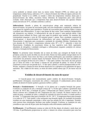 curvo, podendo as demais serem mais ou menos eretas. Bonnett (1998), ao relatou que em
temperaturas médias baixas, inferiores a 8 ºC, o desenvolvimento das folhas de alguns cultivares foi
prejudicado. Sinclair et al. (2004), ao estudar o efeito das temperaturas mínimas ideais para o
desenvolvimento das folhas, encontrou limites diferentes de temperatura para cada cultivar
avaliado, tendo observado que a temperatura base para desenvolvimento dos aparatos foliares
estaria em torno de 10 ºC, variando conforme o cultivar.

Inflorescência: Quando a planta da cana-de-açúcar atinge uma maturação relativa de
desenvolvimento, seu ponto de crescimento pode, sob certo fotoperíodo e condições de umidade do
solo, passar de vegetativo para reprodutivo. O ponto de crescimento para de formar folhas e começa
a produzir uma inflorescência. A cana é uma planta de dias curtos. Suas condições fotoperiódicas
são alcançáveis nos trópicos. A inflorescência da cana de açúcar é uma panícula aberta. Cada
panícula possui milhares de flores, cada uma capaz de produzir uma semente. Os sementes são
extremamente pequenas e cerca de 250 sementes pesam 1 grama. Para a produção comercial de
cana-de-açúcar, o desenvolvimento da inflorescência tem pouca importância econômica. O
florescimento é importante para cruzamento e produção de variedades híbridas. Geralmente dias
com duração de 12,5 horas e temperaturas noturnas entre 20° e 25° C induzirão o início do
florescimento. Condições de crescimento ótimas na fase vegetativa (solo fértil, suprimento
abundante de nitrogênio e umidade) restringem a inflorescência enquanto condições de estresse
induzem a formação de florescimento.

Raízes: As primeiras raízes formadas são as raízes do tolete, que emergem de banda de raiz
primárias acima da cicatriz da folha nos nós do tolete. Raízes do tolete podem emergir dentro de 24
horas após o plantio. Essas raízes são finas e com muitas ramificações, que sustentam a planta em
crescimento nas primeiras semanas depois da brotação. Raízes do broto são tipos secundários de
raízes, que emergem da base do novo colmo 5 - 7 dias após o plantio. Esta raízes são mais grossas
que as raízes do tolete e vão formar o sistema de raiz principal da planta. As raízes do tolete
continuam a crescer por um período de 6 - 15 dias após o plantio, a maioria desaparecendo aos 60 -
90 dias enquanto o sistema de raízes do broto desenvolve-se e apropria-se do suprimento de água e
nutrientes. Até a idade de três meses, as raízes do tolete contêm menos que 2% da massa seca da
raiz.

                 Estádios de desenvolvimento da cana-de-açucar
        A Cana-de-açúcar tem essencialmente quatro estádios de desenvolvimento: brotação,
perfilhamento (formação), crescimento dos colmos e maturação. O conhecimento prévio desses
estádios de desenvolvimento ajudará a gerenciar melhor o cultivo.

Brotação e Estabelecimento : A brotação vai do plantio até a completa brotação das gemas.
Conforme as condições do solo, a brotação começa de 7 a 10 dias após o plantio e geralmente dura
ao redor de 30-35 dias. A brotação da gema é influenciada por fatores externos e internos. Os
fatores externos são a umidade do solo, temperatura do solo e aeração. Os fatores internos são a
saúde da gema, a umidade do tolete, a redução do conteúdo de açúcar do tolete e o estado nutritivo
do tolete. A Temperatura ideal para a brotação é de 28 - 30o C. A temperatura básica para brotação
é ao redor de 12o C. Solo úmido e calor asseguram uma brotação rápida. Os resultados da brotação
resultam em uma respiração aumentada e assim uma boa aeração do solo é importante. Portanto,
solos porosos bem estruturados facilitam uma melhor brotação. Conforme as condições do solo,
considera-se que cerca de 60 por cento das brotações serão efetivamente estabelecidas.

Perfilhamento : O perfilhamento começa ao redor de 40 dias depois do plantio e pode durar até
120 dias. O perfilhamento proporciona ao cultivo o número de colmos necessários para uma boa
 