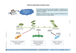Ciências - 7.º Ano / 2.º BIMESTRE - 2014Ciências - 7.º Ano / 2.º BIMESTRE - 2014
Os primeiros seres vivos eram bem simples. À medida que os
séculos se passaram, eles foram evoluindo e outras formas de
vida foram surgindo.
Observe, na linha do tempo, alguns eventos importantes para a
existência de vida em nosso planeta.
Os primeiros seres vivos eram bem simples. À medida que os
séculos se passaram, eles foram evoluindo e outras formas de
vida foram surgindo.
Observe, na linha do tempo, alguns eventos importantes para a
existência de vida em nosso planeta.
Primeiro ser vivo muito simples
– unicelular, procarionte e
heterotrófico.
www.essaseoutras.xpg.com.br/
Primeiro ser vivo capaz de
realizar a fotossíntese
(autotrófico), unicelular e
procarionte.
Adaptadodehttp://cronodon.com/
Primeiro ser vivo mais
complexo – unicelular e
eucarionte.
http://celvida.comhttp://celvida.com
MULTIRIO
Como seria o
primeiro ser
vivo?
COMO SE ORIGINARAM OS SERES VIVOS?
BILHÕES
DE ANOS 4,5 3,5 3 2,5 2 1
SERES VIVOS
MAIS ANTIGOS
FORMAÇÃO DA TERRA ORIGEM DA VIDA ORIGEM DOS ANIMAIS
ORIGEM DOS
EUCARIONTES
ORIGEM DA
FOTOSSÍNTESE
SERES VIVOS
MAIS RECENTES
10
 