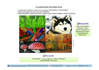 Ciências - 7.º Ano / 2.º BIMESTRE - 2014Ciências - 7.º Ano / 2.º BIMESTRE - 2014
www.brasilescola.com
A ciência que classifica os seres vivos se chama TAXONOMIA ou TAXIONOMIA.
A taxonomia agrupa os seres vivos em 5 REINOS:
REINO MONERA, REINO PROTISTA, REINO FUNGI, REINO ANIMAL E REINO VEGETAL.
Educopédia – 7.º Ano, Ciências – Aula 6, Atividade 5.
EDUCOQUIZ!!! Vamos lá?
A CLASSIFICAÇÃO DOS SERES VIVOS
Visite a Educopédia,
Ciências, 7.º Ano,
Aula 6, Atividade 3 e
aprenda mais sobre a
classificação dos
seres vivos.
13
 