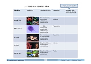 Ciências - 7.º Ano / 2.º BIMESTRE - 2014Ciências - 7.º Ano / 2.º BIMESTRE - 2014
Agora, é com você!!!
A CLASSIFICAÇÃO DOS SERES VIVOS
www.brasilescola.com
14
.
.
.
.
.
 