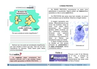Ciências - 7.º Ano / 2.º BIMESTRE - 2014Ciências - 7.º Ano / 2.º BIMESTRE - 2014
Por que a ameba se sente insignificante ?
_______________________________________
_______________________________________
_______________________________________
_______________________________________
_______________________________________
http://jeancmiranda..com/2
As euglenas (algas unicelulares) têm
tamanho parecido com o das amebas. Essas
algas estão agrupadas no REINO PROTISTA.
O REINO PROTISTA
No REINO PROTISTA, encontramos os seres vivos
unicelulares e eucariontes. Alguns podem ser heterotróficos
(parasitas ou não) e outros autotróficos.
Os PROTISTAS são seres vivos bem simples, um pouco
mais complexos que as bactérias. Observe a imagem abaixo:
Entamoeba coli
www.k-state.edu
Núcleo
A imagem representa uma
ameba. Diferentemente do que
vimos nas bactérias, todos os
seres vivos desse Reino
apresentam seu material
genético (DNA) envolvido por
uma membrana (carioteca),
formando uma estrutura
chamada Núcleo. Essa
característica está presente em
todos os Reinos que
estudaremos daqui por diante.
O Reino Protista encontra-
se dividido em dois grupos
principais: os protozoários e
as algas unicelulares. Vamos
conhecê-los melhor?
Visite a
Procure a aula 13 de Ciências
do 7.º Ano e conheça um
pouco mais sobre as
características dos seres vivos
do Reino Protista!
Nenhum ser vivo pode ser considerado insignificante,
por mais simples e menor que seja. Todo ser vivo tem
importância na natureza. Todos fazem parte dessa
enorme diversidade!
29
 