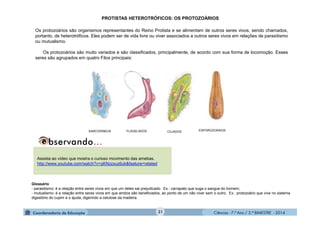 Ciências - 7.º Ano / 2.º BIMESTRE - 2014Ciências - 7.º Ano / 2.º BIMESTRE - 2014
PROTISTAS HETEROTRÓFICOS: OS PROTOZOÁRIOS
Glossário
- parasitismo: é a relação entre seres vivos em que um deles sai prejudicado. Ex.: carrapato que suga o sangue do homem;
- mutualismo: é a relação entre seres vivos em que ambos são beneficiados, ao ponto de um não viver sem o outro. Ex.: protozoário que vive no sistema
digestório do cupim e o ajuda, digerindo a celulose da madeira.
SARCODÍNEOSSARCODÍNEOS FLAGELADOSFLAGELADOS CILIADOSCILIADOS ESPOROZOÁRIOSESPOROZOÁRIOS
Assista ao vídeo que mostra o curioso movimento das amebas.
http://www.youtube.com/watch?v=gKNzzxuz6uk&feature=related
31
Os protozoários são organismos representantes do Reino Protista e se alimentam de outros seres vivos, sendo chamados,
portanto, de heterotróficos. Eles podem ser de vida livre ou viver associados a outros seres vivos em relações de parasitismo
ou mutualismo.
Os protozoários são muito variados e são classificados, principalmente, de acordo com sua forma de locomoção. Esses
seres são agrupados em quatro Filos principais:
 