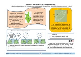 Ciências - 7.º Ano / 2.º BIMESTRE - 2014Ciências - 7.º Ano / 2.º BIMESTRE - 2014
PROTISTAS HETEROTRÓFICOS: OS PROTOZOÁRIOS
Já sabemos que o grupo dos protozoários se diferencia pela forma como se locomovem. Vamos conhecer os grupos?
C
Paramecium
Os protozoários desse grupo se
movem por meio de cílios diversos,
existentes ao redor da célula. O
Paramecium é um protozoário de
vida livre, isto é, não é um parasita.
pt.wikipedia.org
cílios
CILIADOS
Observe a tirinha abaixo e responda:
1- Que tipo de reprodução está representada nesta tirinha? Explique
sua resposta.
_______________________________________________________
_______________________________________________________
As amebas são seres vivos simples, mas são
altamente adaptadas ao meio em que vivem.
Podem se reproduzir rapidamente, se alimentar e
sair dos locais em que estão sendo ameaçadas.
SARCODÍNEOS
www.last.fm
Ameba
Nesse grupo, encontramos
protozoários sem forma
definida, como a ameba,
mostrada na figura ao lado.
Eles se movem por meio de
pseudópodes.
Repare que, nessa figura,
a ameba utiliza os
pseudópodes para englobar
uma partícula.
A Entamoeba
histolytica é um
parasita que causa a
amebíase no homem
e é transmitida pela
água ou alimentos
contaminados. Um
dos sintomas é a
diarreia.
Responda:
Quero,
sim!
Assim, oh!... Pronto!
Quer que eu te
mostre como a
ameba se
reproduz?
www.suapesquisa.com
2. O que é protozoário de vida livre?
__________________________________
33
 
