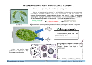 Ciências - 7.º Ano / 2.º BIMESTRE - 2014Ciências - 7.º Ano / 2.º BIMESTRE - 2014
AS ALGAS UNICELULARES – NOSSAS PEQUENAS FÁBRICAS DE OXIGÊNIO
Juntas, essas algas são verdadeiras fábricas de oxigênio!
Grande parte do oxigênio que está na atmosfera é liberado durante o processo de
fotossíntese das algas, protistas como essas da imagem ao lado. As árvores das
grandes florestas também liberam oxigênio. Porém, elas utilizam a maior parte desse
gás oxigênio na própria respiração. Esses protistas, que são seres produtores, também
servem de alimentos para os consumidores. Lembra-se da cadeia alimentar?
www.sobiologia.com.br
EUGLENAS
GÁS
CARBÔNICO
( CO2)
GÁS
OXIGÊNIO
(O2)
Que processo é esse que está
representado ao lado?
________________________________
PRODUTORES
CONSUMIDORES DECOMPOSITORES
Casadodiabetico.com
Essas são outras algas
protistas: as diatomáceas! Olhe
como elas são diferentes!
www.infoescola.com
Escolha uma alga e reproduza-a no
espaço abaixo! Use toda a sua
criatividade!
Agora, relembre esse importante processo realizado pelas algas. Observe o esquema:
Recapitulando...
38
 