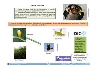 Ciências - 7.º Ano / 1.º BIMESTRE - 2014
Construa cadeias
alimentares interativas
na atividade 16 da
aula 27.
21
Todos os seres vivos de um ecossistema - animais,
vegetais, microrganismos – estão relacionados.
Às relações alimentares entre os seres vivos chamamos de
cadeia alimentar. Uma cadeia alimentar mostra uma sequência
de organismos que se alimentam uns dos outros, a partir de um
organismo produtor.
CADEIA ALIMENTAR
1- Observe as figuras dos seres vivos abaixo e ligue, com uma seta, o ser vivo que serve de alimento para o outro. Observe a
seta colocada como exemplo para a realização da atividade:
Gafanhoto
vivoverde.com.br
fotos.noticias.bol.uol.com.br
Bem-te-vi
www.fiocruz.br
Gavião
topicos.estadao.com.br
Capim Vaquero
www.pecuaria.com.br
Em uma
CADEIA
ALIMENTAR, as
setas sempre
indicam qual o
ser vivo que
servirá de
alimento para
outro ser vivo.
 