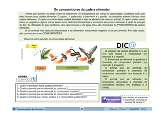 Ciências - 7.º Ano / 1.º BIMESTRE - 201423
Vimos que quando os seres vivos se relacionam no ecossistema por conta da alimentação, podemos dizer que
eles formam uma cadeia alimentar. O capim , o gafanhoto, o bem-te-vi e o gavião da atividade anterior formam uma
cadeia alimentar. O capim é o início desta cadeia alimentar e não se alimenta de nenhum animal. O capim, assim como
todos os vegetais e alguns outros seres vivos, realizam fotossíntese e produzem seu próprio alimento a partir da energia
do Sol, da utilização do gás carbônico, dos sais minerais e da água. Eles são chamados de PRODUTORES da cadeia
alimentar.
Já os animais não realizam fotossíntese e se alimentam consumindo vegetais ou outros animais. Por essa razão,
são conhecidos como CONSUMIDORES.
Observe outro exemplo de uma cadeia alimentar:
Os consumidores da cadeia alimentar
1- Qual é o produtor desta cadeia alimentar? _________________________.
2- Qual é o animal que se alimenta do produtor?______________________.
3- Qual é o animal que se alimenta do consumidor primário?_____________.
4- Qual é o animal que se alimenta do consumidor secundário?___________.
5- Qual é o animal que, nesta cadeia, é o consumidor quaternário?
______________________________________________________________.
dicasdeciencias.com
O produtor da cadeia alimentar é o ser
vivo que realiza a fotossíntese (no
exemplo é o vegetal).
O animal que se alimenta do produtor é
chamado de consumidor primário (no
exemplo é a lagarta).
O animal que se alimenta do
consumidor primário é chamado de
consumidor secundário (no exemplo é o
sapo).
O animal que se alimenta do
consumidor secundário é chamado de
consumidor terciário (no exemplo é a
cobra).
AGORA,
É COM VOCÊ!!!
Leia a história em quadrinhos
e responda às perguntas da
atividade 24 da aula 27.
 