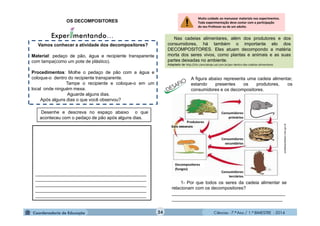 Ciências - 7.º Ano / 1.º BIMESTRE - 201424
OS DECOMPOSITORES
Vamos conhecer a atividade dos decompositores?
Material: pedaço de pão, água e recipiente transparente
com tampa(como um pote de plástico).
Procedimentos: Molhe o pedaço de pão com a água e
coloque-o dentro do recipiente transparente.
Tampe o recipiente e coloque-o em um
local onde ninguém mexa.
Aguarde alguns dias.
Após alguns dias o que você observou?
1- Por que todos os seres da cadeia alimentar se
relacionam com os decompositores?
_____________________________________________
____________________________________________
A figura abaixo representa uma cadeia alimentar,
estando presentes os produtores, os
consumidores e os decompositores.
portaldoprofessor.mec.gov.br
____________________________________________
____________________________________________
____________________________________________
____________________________________________
____________________________________________
Desenhe e descreva no espaço abaixo o que
aconteceu com o pedaço de pão após alguns dias.
Nas cadeias alimentares, além dos produtores e dos
consumidores, há também o importante elo dos
DECOMPOSITORES. Eles atuam decompondo a matéria
morta dos seres vivos, como plantas e animais e as suas
partes deixadas no ambiente.
Adaptado de http://chc.cienciahoje.uol.com.br/por-dentro-das-cadeias-alimentares
Muito cuidado ao manusear materiais nos experimentos.
Toda experimentação deve contar com a participação
do seu Professor ou de um adulto.
 