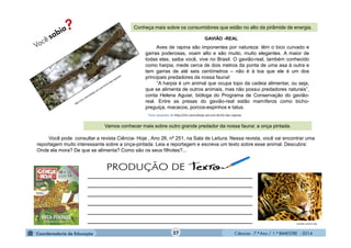 Ciências - 7.º Ano / 1.º BIMESTRE - 201427
Aves de rapina são imponentes por natureza: têm o bico curvado e
garras poderosas, voam alto e são muito, muito elegantes. A maior de
todas elas, saiba você, vive no Brasil. O gavião-real, também conhecido
como harpia, mede cerca de dois metros da ponta de uma asa à outra e
tem garras de até seis centímetros – não é à toa que ele é um dos
principais predadores da nossa fauna!
“A harpia é um animal que ocupa topo da cadeia alimentar, ou seja,
que se alimenta de outros animais, mas não possui predadores naturais”,
conta Helena Aguiar, bióloga do Programa de Conservação do gavião-
real. Entre as presas do gavião-real estão mamíferos como bicho-
preguiça, macacos, porcos-espinhos e tatus.
GAVIÃO -REAL
Conheça mais sobre os consumidores que estão no alto da pirâmide de energia.
Vamos conhecer mais sobre outro grande predador da nossa fauna: a onça pintada.
unesdoc.unesco.org
Texto adaptado de http://chc.cienciahoje.uol.com.br/rei-das-rapinas
Você pode consultar a revista Ciência- Hoje , Ano 26, nº 251, na Sala de Leitura. Nessa revista, você vai encontrar uma
reportagem muito interessante sobre a onça-pintada. Leia a reportagem e escreva um texto sobre esse animal. Descubra:
Onde ela mora? De que se alimenta? Como são os seus filhotes?...
____________________________________________
____________________________________________
____________________________________________
____________________________________________
____________________________________________
____________________________________________
 
