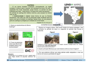 Ciências - 7.º Ano / 1.º BIMESTRE - 201434
www.biblioteca.ifc-camboriu.edu.br -
Glossário:
Transpiração é um processo em que o vegetal perde
vapor d’água através de pequenas aberturas nas
folhas.
CAATINGA
É um bioma brasileiro localizado, principalmente, na região
nordeste. O clima é seco e quente, com escassez de chuva. Por isso, a
vegetação fica muito ressecada, quase branca, no período de seca.
Caatinga quer dizer “ mata branca” na língua dos índios tupi-guarani.
Os animais da caatinga têm hábitos noturnos, para escapar do intenso
calor do dia.
A biodiversidade é menor nesse bioma do que na floresta
Amazônica, mas cada vez mais as pesquisas estão revelando tipos de
seres vivos que só existem na caatinga. Apesar disso, só uma pequena
parte da caatinga é protegida por Unidade de Conservação.
Adaptado de www.mma.gov.br
Observe as imagens abaixo. Elas foram tiradas da mesma paisagem, mas
a primeira no período da seca e a segunda no período das chuvas e
responda:
Figura1 Figura 2
Caatinga do Parque Estadual de Morro do Chapéu, durante a estação seca e na estação
chuvosa Fotos: Caio Graco Machado
Fonte: ttp://www.comciencia.br/comciencia/
3- Qual a principal diferença que você observa entre as duas imagens?
__________________________________________________________________________
4- Por que podemos afirmar que estas plantas estão adaptadas a viver em
bioma com pouca quantidade de água?
______________________________________________________________
______________________________________________________________
http://www.brasilescola.com/brasil/caatinga.htm
www.culturamix.comFlora e fauna
típica da
caatinga.
1- Quais as características do Bioma
Caatinga?
___________________________________
___________________________________
2- O que as pesquisas
sobre esse Bioma têm
revelado sobre a sua
biodiversidade?
____________________
____________________
____________________
 