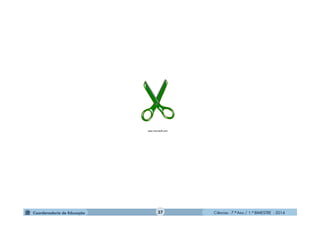 Ciências - 7.º Ano / 1.º BIMESTRE - 2014
www.microsoft.com
37
 