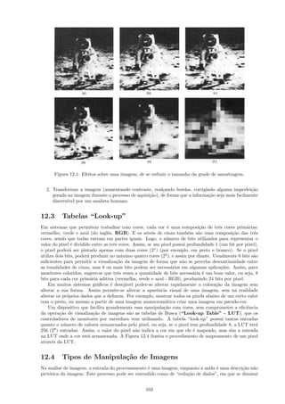 Figura 12.1: Efeitos sobre uma imagem, de se reduzir o tamanho da grade de amostragem.


  2. Transformar a imagem (aumentando contraste, real¸ando bordas, corrigindo alguma imperfei¸˜o
                                                         c                                         ca
     gerada na imagem durante o processo de aquisi¸˜o), de forma que a informa¸˜o seja mais facilmente
                                                  ca                          ca
     discern´ por um analista humano.
            ıvel


12.3      Tabelas “Look-up”
Em sistemas que permitem trabalhar com cores, cada cor ´ uma composi¸˜o de trˆs cores prim´rias:
                                                                e              ca      e             a
vermelho, verde e azul (do inglˆs, RGB). E os n´
                                  e                  ıveis de cinza tamb´m s˜o uma composi¸˜o das trˆs
                                                                         e    a              ca         e
cores, sendo que todas entram em partes iguais. Logo, o n´mero de bits utilizados para representar o
                                                               u
valor do pixel ´ dividido entre as trˆs cores. Assim, se um pixel possui profundidade 1 (um bit por pixel),
                e                     e
o pixel poder´ ser pintado apenas com duas cores (21 ) (por exemplo, em preto e branco). Se o pixel
                a
utiliza dois bits, poder´ produzir no m´ximo quatro cores (22 ), e assim por diante. Usualmente 6 bits s˜o
                        a                  a                                                            a
suﬁcientes para permitir a visualiza¸˜o da imagem de forma que n˜o se perceba descontinuidade entre
                                        ca                            a
as tonalidades de cinza, mas 8 ou mais bits podem ser necess´rios em algumas aplica¸˜es. Assim, para
                                                                  a                      co
monitores coloridos, sugere-se que trˆs vezes a quantidade de bits necess´ria ´ um bom valor, ou seja, 8
                                         e                                 a    e
bits para cada cor prim´ria aditiva (vermelha, verde e azul - RGB), produzindo 24 bits por pixel.
                          a
    Em muitos sistemas gr´ﬁcos ´ desej´vel poder-se alterar rapidamente a colora¸˜o da imagem sem
                              a     e        a                                        ca
alterar a sua forma. Assim permite-se alterar a aparˆncia visual de uma imagem, sem na realidade
                                                          e
alterar os pr´prios dados que a deﬁnem. Por exemplo, mostrar todos os pixels abaixo de um certo valor
              o
com o preto, ou mesmo a partir de uma imagem monocrom´tica criar uma imagem em pseudo-cor.
                                                               a
    Um dispositivo que facilita grandemente essa manipula¸˜o com cores, sem comprometer a eﬁciˆncia
                                                              ca                                     e
da opera¸˜o de visualiza¸˜o de imagens s˜o as tabelas de Busca (“Look-up Table” - LUT), que os
          ca                ca                 a
controladores de monitores por varredura vem utilizando. A tabela “look-up” possui tantas entradas
quanto o n´mero de valores armazenados pelo pixel, ou seja, se o pixel tem profundidade 8, a LUT ter´
            u                                                                                             a
256 (28 ) entradas. Assim, o valor do pixel n˜o indica a cor em que ele ´ mapeado, mas sim a entrada
                                                 a                          e
na LUT onde a cor est´ armazenada. A Figura 12.4 ilustra o procedimento de mapeamento de um pixel
                        a
atrav´s da LUT.
      e


12.4      Tipos de Manipula¸˜o de Imagens
                           ca
Na an´lise de imagens, a entrada do processamento ´ uma imagem, enquanto a sa´ ´ uma descri¸˜o n˜o
      a                                           e                          ıda e          ca a
pict´rica da imagem. Este processo pode ser entendido como de “redu¸˜o de dados”, em que se diminui
    o                                                              ca


                                                   103
 