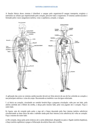SISTEMA CARDIOVASCULAR
A função básica desse sistema é distribuir o sangue pelo organismo.O sangue transporta oxigênio e
nutrientes às células que impulsionado pelo coração, percorre todo o organismo. O sistema cardiovascular é
formado pelos vasos sanguíneos (artéria, veias e capilares), coração, e sangue.
A aplicação das cores no sistema cardiovascular deverá ser feita através do uso de luz colorida no coração e
nas principais artérias e veias do corpo. Recomenda-se também o uso da água solarizada.
I. a) Inicie no coração, circulando no sentido horário.Siga a pequena circulação: suba por um lado, pela
artéria carótida até o lóbulo da orelha, e desça pelo mesmo lado, pela veia jugular até o coração. Faça o
outro lado.
b) Agora, saia do coração pela aorta e siga até o braço descendo pela face interna (artéria subclávia)
circularizando as duas faces da mão e subindo ainda pela face interna (veia subclávia) de volta ao coração.
Faça o mesmo do outro lado.
c) Do coração, desça pela aorta torácica até a aorta abdominal, dirigindo-se para o fígado (artéria hepática),
o baço (artéria esplênica) e pegue a bifurcação da artéria ilíaca até a virilha.
 