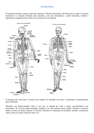 SISTEMA ÓSSEO
O esqueleto protege as partes nobres do organismo. Oferece sustentação e dá forma para o corpo. O sistema
locomotor é o conjunto formado pelo esqueleto, com suas articulações, e pelos músculos, tendões e
ligamentos é responsável por todos os movimentos do ser humano.
O emprego das cores para o sistema ósseo poderá ser realizado com luzes, visualização e principalmente
água solarizada.
Mentalize um laranja-metálico forte e vivo que se espalha por todo o corpo, concentrando-se nas
articulações. No caso de juntas doloridas, imagine a cor mais intensa nessas regiões. Pratique o exercício
todas as noites, ao deitar, durante 15 minutos. Eficiente no tratamento de luxações, fraturas, reumatismo,
ciática, dores na coluna, hérnia de disco, etc.
 