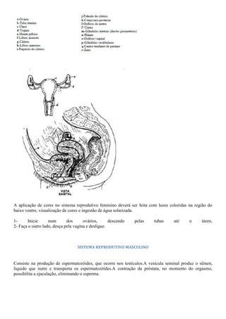A aplicação de cores no sistema reprodutivo feminino deverá ser feita com luzes coloridas na região do
baixo ventre, visualização de cores e ingestão de água solarizada.
1- Inicie num dos ovários, descendo pelas tubas até o útero,
2- Faça o outro lado, desça pela vagina e desligue.
SISTEMA REPRODUTIVO MASCULINO
Consiste na produção de espermatozóides, que ocorre nos testículos.A vesícula seminal produz o sêmen,
líquido que nutre e transporta os espermatozóides.A contração da próstata, no momento do orgasmo,
possibilita a ejaculação, eliminando o esperma.
 