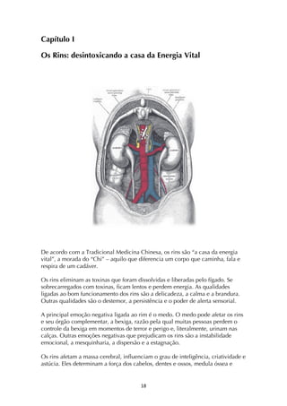 ! *(!
Capítulo I
Os Rins: desintoxicando a casa da Energia Vital
De acordo com a Tradicional Medicina Chinesa, os rins são “a casa da energia
vital”, a morada do “Chi” – aquilo que diferencia um corpo que caminha, fala e
respira de um cadáver.
Os rins eliminam as toxinas que foram dissolvidas e liberadas pelo fígado. Se
sobrecarregados com toxinas, ficam lentos e perdem energia. As qualidades
ligadas ao bom funcionamento dos rins são a delicadeza, a calma e a brandura.
Outras qualidades são o destemor, a persistência e o poder de alerta sensorial.
A principal emoção negativa ligada ao rim é o medo. O medo pode afetar os rins
e seu órgão complementar, a bexiga, razão pela qual muitas pessoas perdem o
controle da bexiga em momentos de terror e perigo e, literalmente, urinam nas
calças. Outras emoções negativas que prejudicam os rins são a instabilidade
emocional, a mesquinharia, a dispersão e a estagnação.
Os rins afetam a massa cerebral, influenciam o grau de inteligência, criatividade e
astúcia. Eles determinam a força dos cabelos, dentes e ossos, medula óssea e
 
