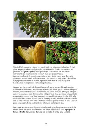 ! ""!
Não é difícil encontrar estas ervas medicinais em lojas especializadas. O chá
pode ser preparado com alguma das ervas faltando, desde que não seja a A
principal é a quebra-pedra, erva que muitos consideram um folclórico
instrumento de curandeirismo popular, mas que é reconhecida
internacionalmente (e em diversas culturas ancestrais) como uma das mais
poderosas plantas medicinais existentes, com inúmeras aplicações. Seu efeito
conjugado com as outras plantas age desmanchando as cristalizações e
facilitando a excreção dos elementos pela urina.
Aqueça um litro e meio de água até quase alcançar fervura. Despeje quatro
colheres das de sopa da mistura destas ervas, em partes iguais. Abaixe o fogo ao
mínimo, deixando borbulhar suavemente por cinco minutos. Desligue o fogo e
deixe repousar por mais dez minutos. Está pronto o chá, que pode ser guardado
em geladeira ou em local fresco para ser consumido ao longo do dia, 200 ml a
cada uma hora e meia. Seu sabor não é desagradável, portanto procure tomá-lo
sem o acréscimo de adoçantes. Pode ser tomado quente ou frio, e, para facilitar,
pode ser preparado na noite anterior e tomado ao longo do dia.
Como opção, acrescente algumas fatias finas de gengibre para aumentar ainda
mais o efeito das ervas e acrescentar um toque de sabor ao chá. A proposta é
tomar este chá diariamente durante um período de entre uma semana.
 