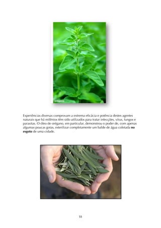 ! %%!
Experiências diversas comprovam a extrema eficácia e potência destes agentes
naturais que há milênios têm sido utilizados para tratar infecções, vírus, fungos e
parasitas. O óleo de orégano, em particular, demonstrou o poder de, com apenas
algumas poucas gotas, esterilizar completamente um balde de água coletada no
esgoto de uma cidade.
 