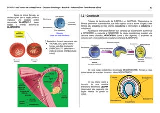 CEDUP – Curso Técnico em Análises Clínicas – Disciplina: Embriologia – Módulo II – Professora Giseli Trento Andrade e Silva
17
___________________________________________________________________________________________________________________________________________

Depois da mórula formada, as
células migram para a região periférica
originando uma cavidade central
denominada BLASTOCELE. Nesse
estágio o embrião denomina-se
BLASTOCISTO.

7.2 – Gastrulação
Processo de transformação da BLÁSTULA em GÁSTRULA. Diferenciam-se os
folhetos germinativos ou embrionários, que darão origem a todos os tecidos e órgãos. Esses
folhetos são: ectoderma (o mais externo), mesoderma (o intermediário) e endoderma (o
mais interno).
As células do embrioblasto formam duas camadas que se sobrepõem: a primeira é
a ECTODERME e a segunda a ENDODERME. As células endodérmicas revestem uma
cavidade interna chamada ARQUÊNTERO (forma o tubo digestivo). O arquêntero se
comunica com o meio externo por uma abertura chamada BLASTÓPORO.
O Blastocisto é formado basicamente pelo:
TROFOBLASTO: parte externa –
forma a parte fetal da placenta
EMBRIOBLASTO: parte interna –
origina o corpo do embrião (célulastronco)

Em uma região endodérmica denominada MESENTODERME, formam-se duas
bolsas laterais que se soltam formando o folheto MESODÉRMICO.

Em seu interior ocorre a
formação de uma cavidade
embrionária denominada CELOMA
(responsável pela separação dos
órgãos internos da parede do
corpo).

 