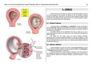 CEDUP – Curso Técnico em Análises Clínicas – Disciplina: Embriologia – Módulo II – Professora Giseli Trento Andrade e Silva
19
___________________________________________________________________________________________________________________________________________

8 – GÊMEOS
Gêmeos são dois ou mais irmãos que nascem num nascimento múltiplo, ou seja, de
uma mesma gestação da mãe, podendo ser idênticos ou não. Por extensão, as crianças
nascidas de partos triplos, quádruplos ou mais também são chamados de gêmeos. Apesar
de não haver uma estatística precisa, estima-se que uma em cada 85 gravidezes é gemelar.
Existem duas maneiras de nascerem irmãos gêmeos.

8.1 – Gêmeos Fraternos
Os gêmeos fraternos são dizigóticos ou multivitelinos, ou seja, são formados a
partir de dois óvulos. Nesse caso são produzidos dois ovócitos II e os dois são fecundados,
formando assim, dois embriões. Quase sempre são formados em placentas diferentes e
não dividem o saco amniótico.
Os gêmeos fraternos não se assemelham muito entre si, podem ter, ou não, o
mesmo fator sanguíneo e podem ser do mesmo sexo ou não. Também são conhecidos como
gêmeos diferentes.
Na verdade são dois irmãos comuns que tiveram gestação coincidente.
Representam 66% de todas as gestações gemelares, e neste tipo de gestação, 1/3 têm
sexos diferentes, enquanto 2/3 o mesmo sexo. Um em cada um milhão de gêmeos deste tipo
têm cores diferentes, mesmo sendo do mesmo pai. É possível gêmeos fraternos terem pais
completamente diferentes.

8.2 – Gêmeos Idênticos
Quando um óvulo é produzido e fecundado por um só espermatozóide e se divide
em duas culturas de células completas, dá origem aos gêmeos idênticos, ou monozigóticos,
ou univitelinos. Sempre possuem o mesmo sexo.
Os gêmeos idênticos têm o mesmo genoma, e são clones um do outro. Apenas 1/3
das gestações são de gêmeos univitelinos. A gestação é difícil pelo fato de apenas 10% a
15% dos gêmeos idênticos terem placentas diferentes, geralmente possuem a mesma
placenta.

 